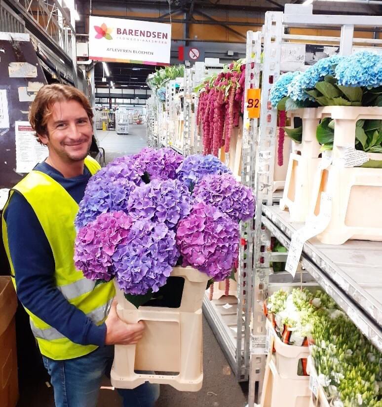 Barendsen Aalsmeer tweet media