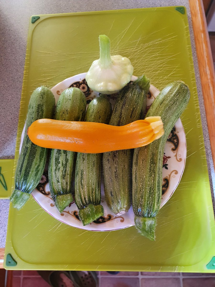 Leigh Sparks tweet media