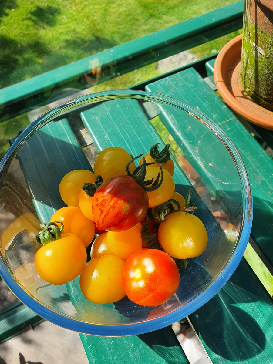 Leigh Sparks tweet media