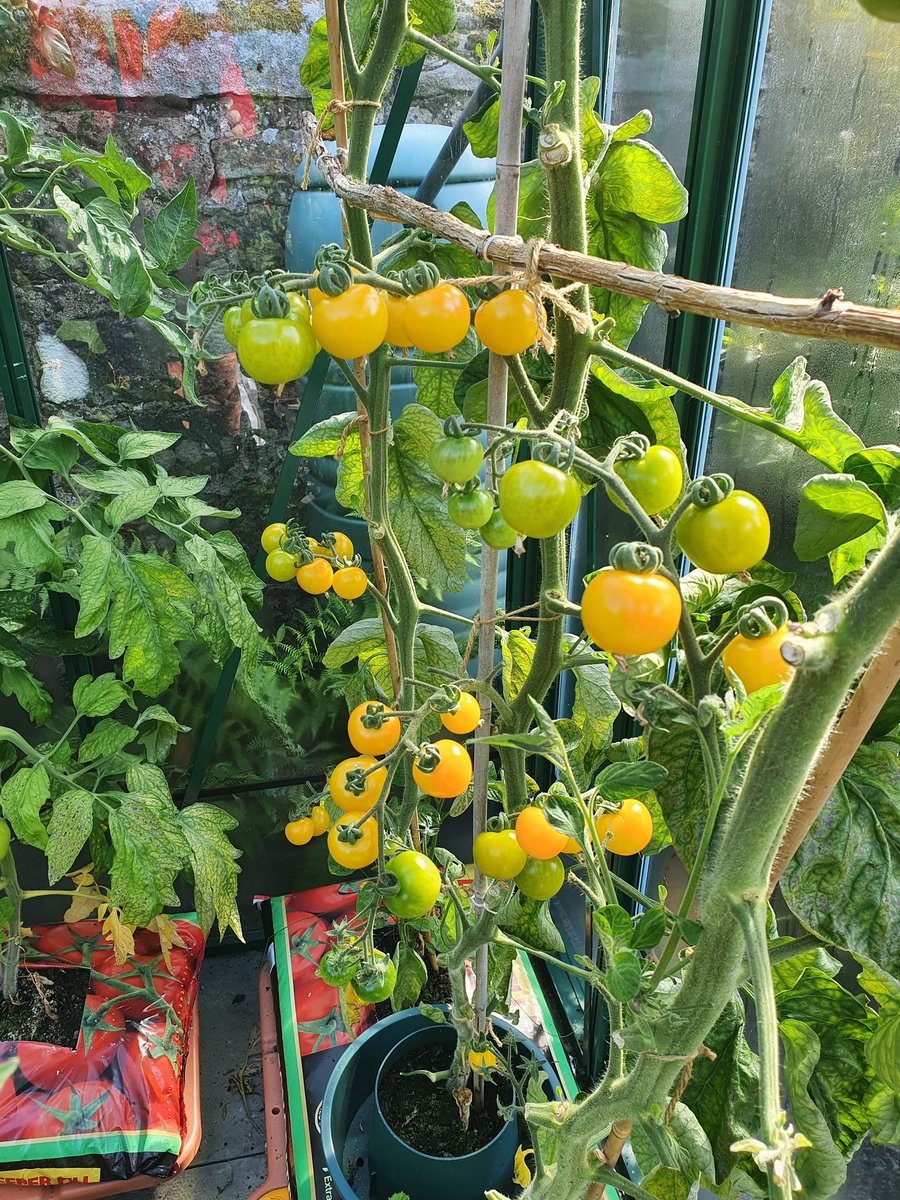 Leigh Sparks tweet media