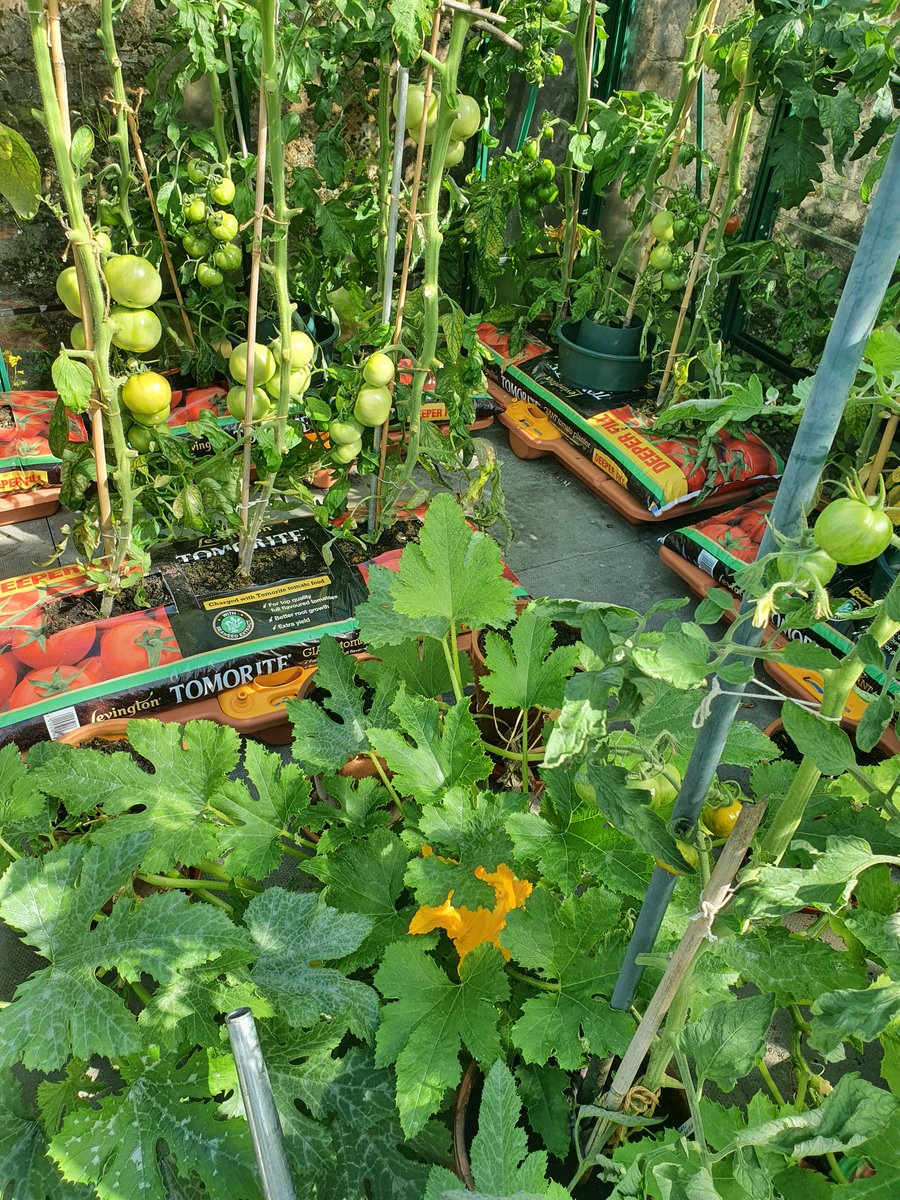 Leigh Sparks tweet media