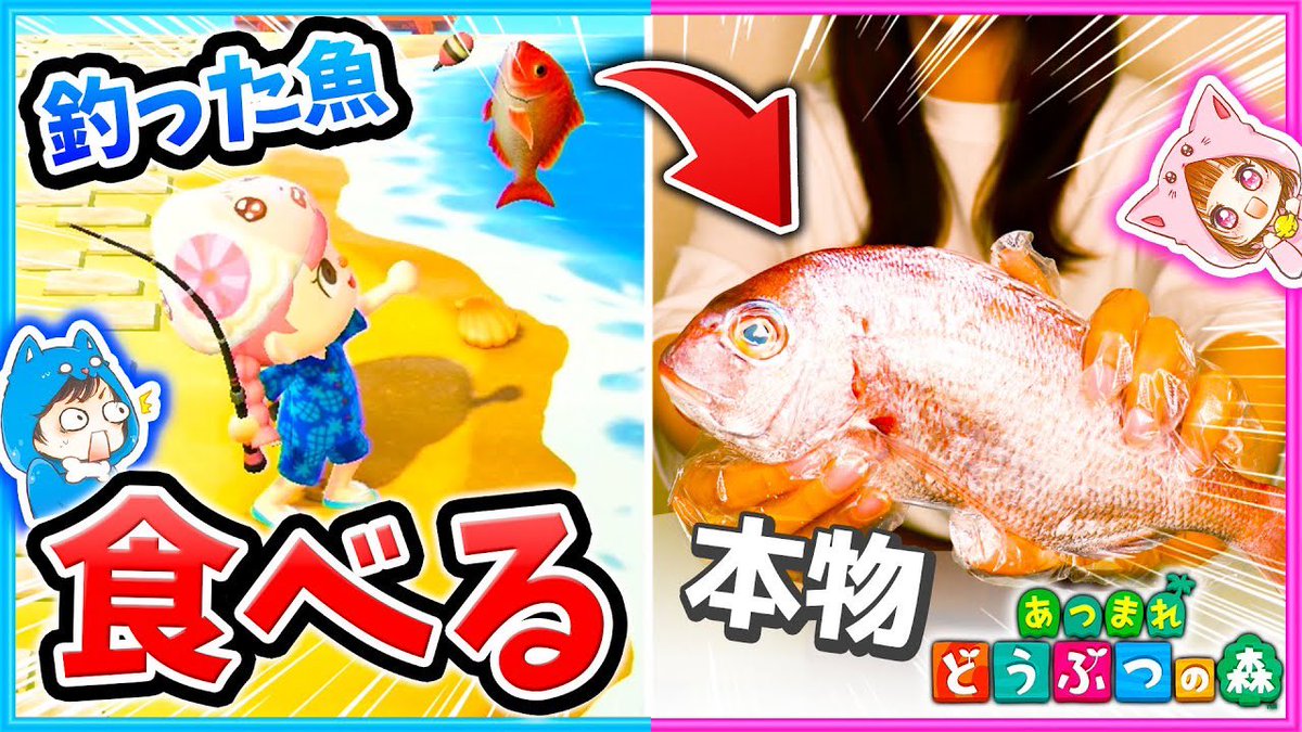 ট ইট র ちろぴの あつ森 マイクラ 新着動画 釣り対決 負けたらゲームで釣った魚をリアルで食べる 釣り 魚 あつまれどうぶつの森 Animalcrossing T Co Opbdtfo7vo 今日の動画見てね 嫌々持ってるの伝わる