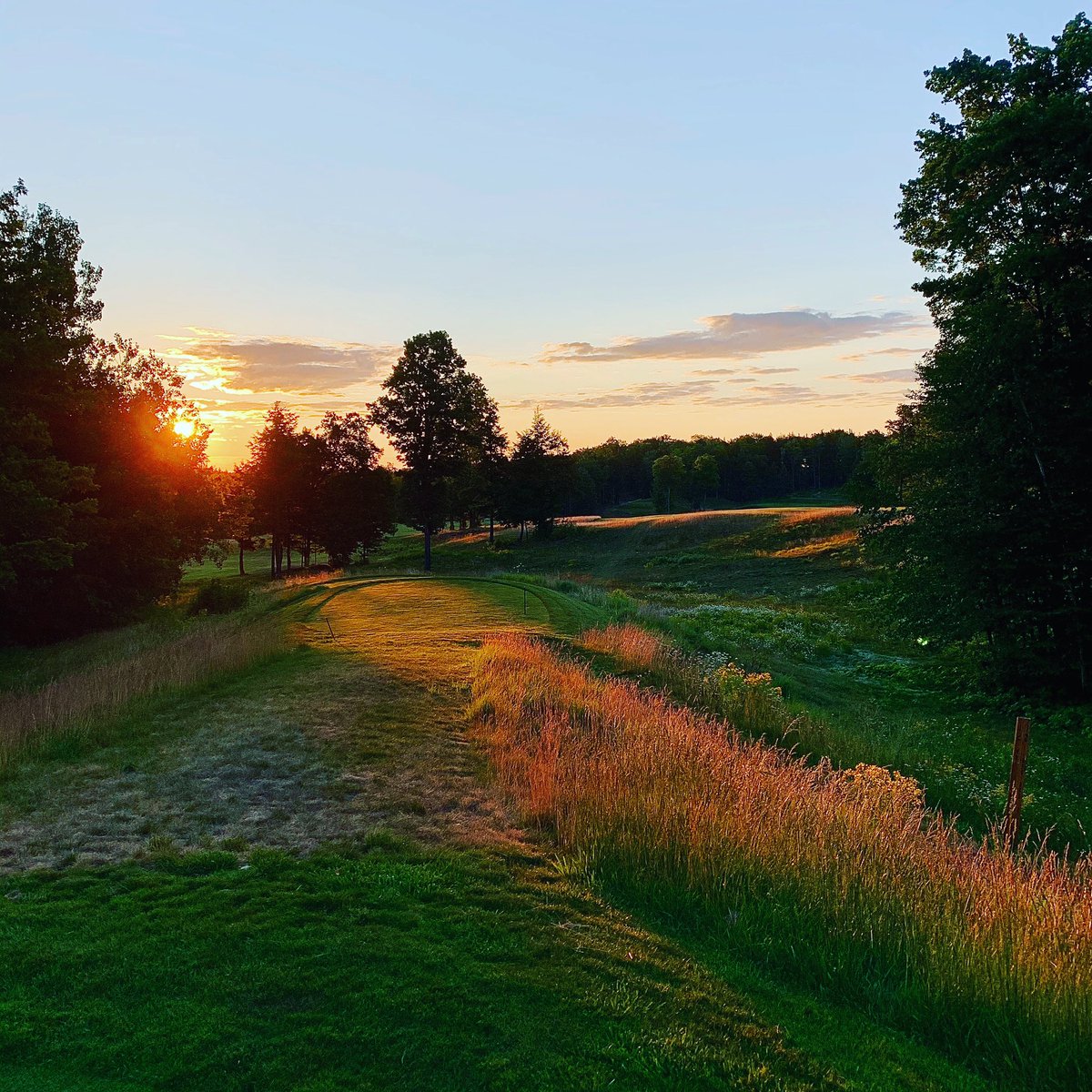 dkkargela2's tweet photo. #GOLFGREYWALLS https://t.co/eBvL8pFWYX