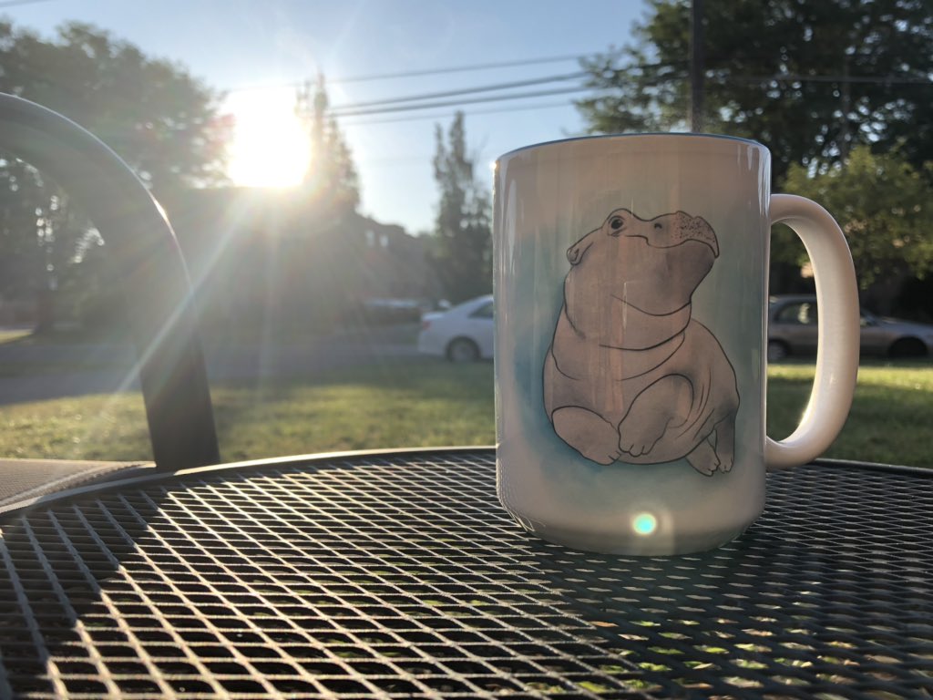 JudgmentalKiwi's tweet photo. Good Morning from the most majestic creature to ever walk this earth!!!! #fiona #hippo #morningvibes https://t.co/8zhANVVeQJ