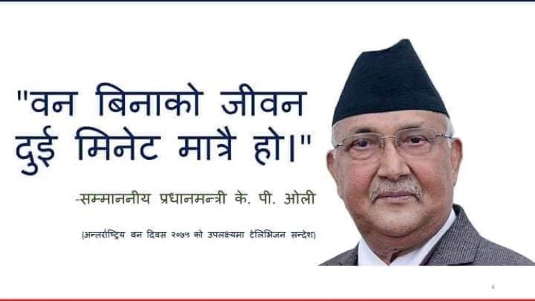 XryouthNepal's tweet photo. Nijgadh is not only about 2.4 millions trees, it is also about the rich Biodiversity that it holds. There is a significant population of tigers and elephants in the area because of the water streams like Lal Bakiya.
#ensuretransparency #rethinkningadh
@yogesbhattarai
@PM_Nepal https://t.co/vnNiP6II3b
