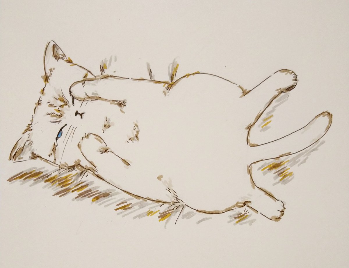 「猫の寝てる姿はとてもかわいいだけに、半目開いてる寝顔は、最初、かなり衝撃でした 」|dodoのイラスト