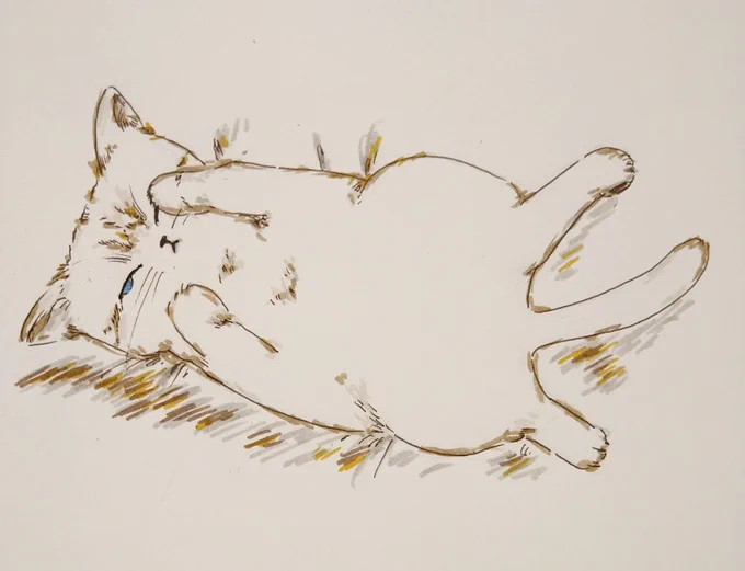 猫の寝てる姿はとてもかわいいだけに、半目開いてる寝顔は、最初、かなり衝撃でした 猫の寝姿、ペン(+筆ペン) #絵の練習 #猫イラスト #猫 #お絵描き #ペン 