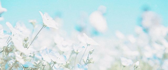 yellowwwiiing's tweet photo. IZ*ONE Miyawaki Sakura layout aesthetic pack, rt / love when you need saved this layout, thankyou https://t.co/L5x9N7fG2V