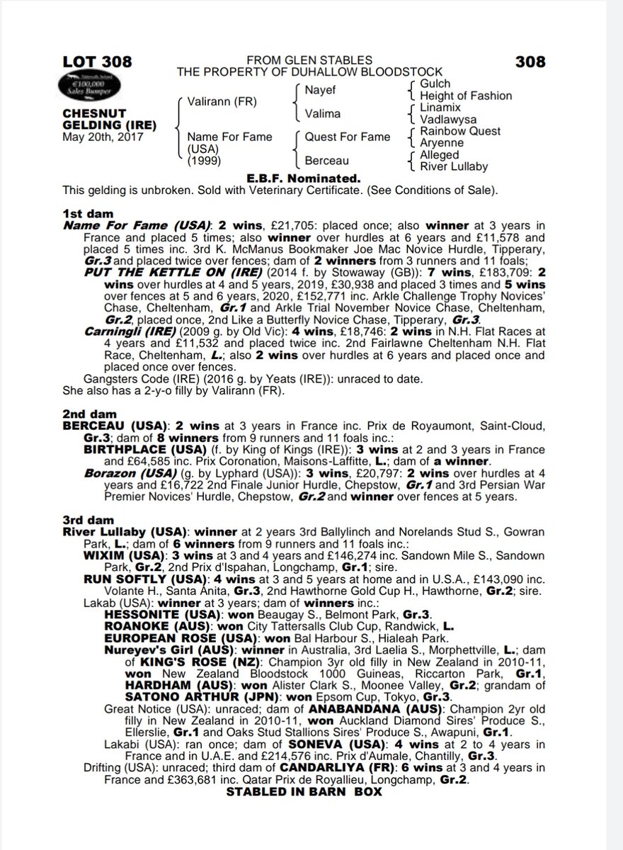 joeosullivan33's tweet photo. Half brother to Arkle winner Put the Kettle On. Lot 308 at Derby Sale. Viewings can be arranged. https://t.co/nbBJkLQUNK