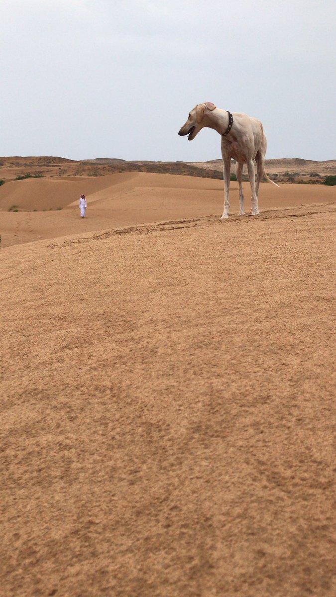 نعشق البر وهواه❤️❤️