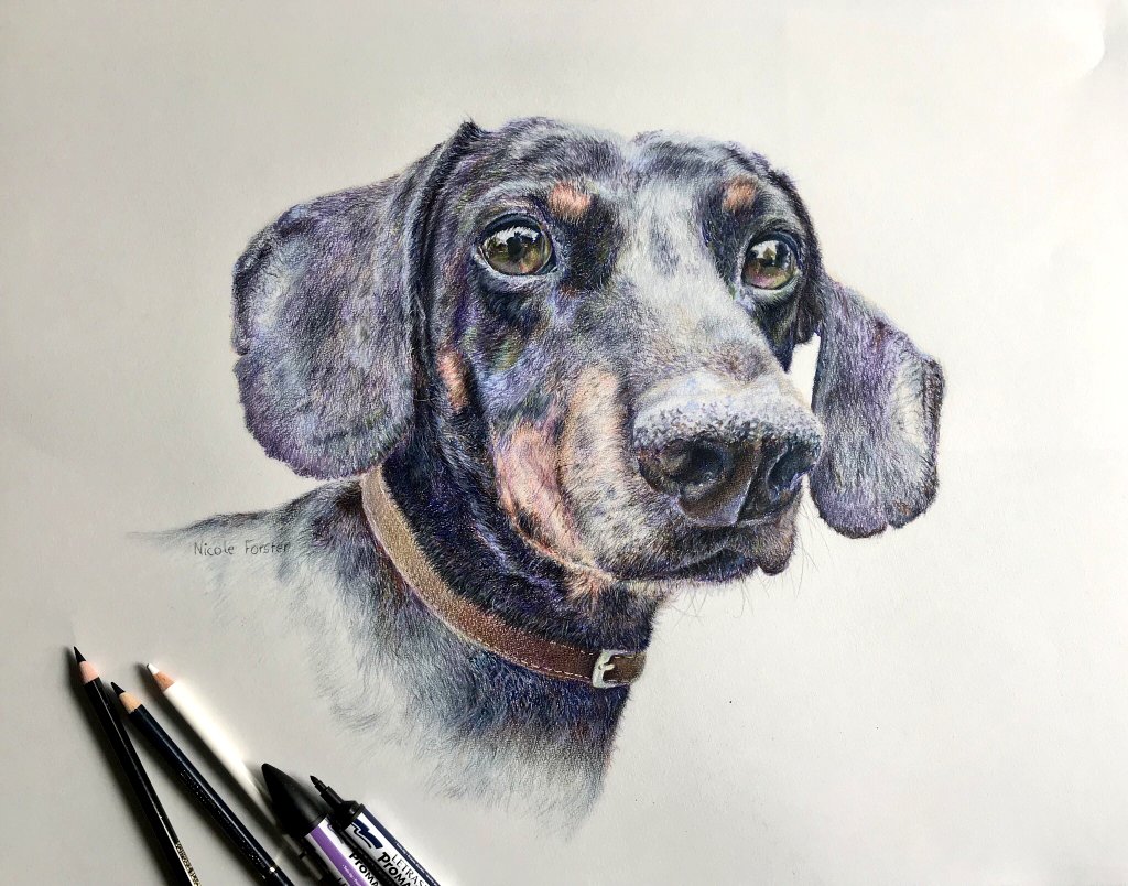 Twittartists's tweet photo. Adding to the #dogs #sketch #pencilart thread. The adorable four today.

Artists:
Joe Stevens @StevensJoey1 
Francesca Simpson @fsimpson_artist 
Nicole Forster @forster_art 
Sara Smith @sarasmithart https://t.co/02NBskd4vP
