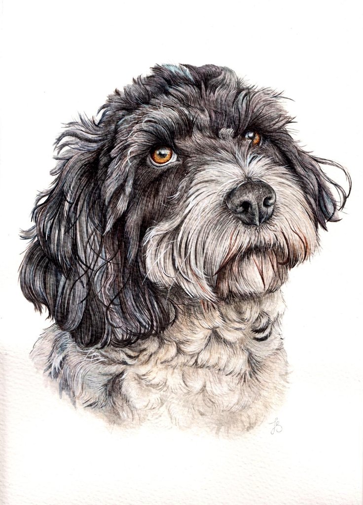 Twittartists's tweet photo. Adding to the #dogs #sketch #pencilart thread. The adorable four today.

Artists:
Joe Stevens @StevensJoey1 
Francesca Simpson @fsimpson_artist 
Nicole Forster @forster_art 
Sara Smith @sarasmithart https://t.co/02NBskd4vP