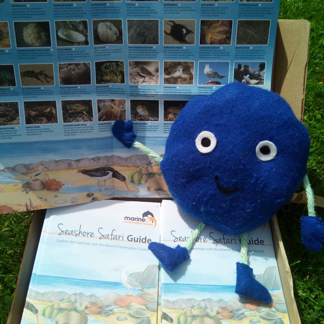 So exciting, the postman just brought a box of @mcs_uk seashore guides for Nurdle and I to share with children in schools. 
There are lots of fabulous resources online for the summer with their Cool Seas resources.

#summer #staycation  #plasticfreeoceans #plasticfreejuly #nurdle