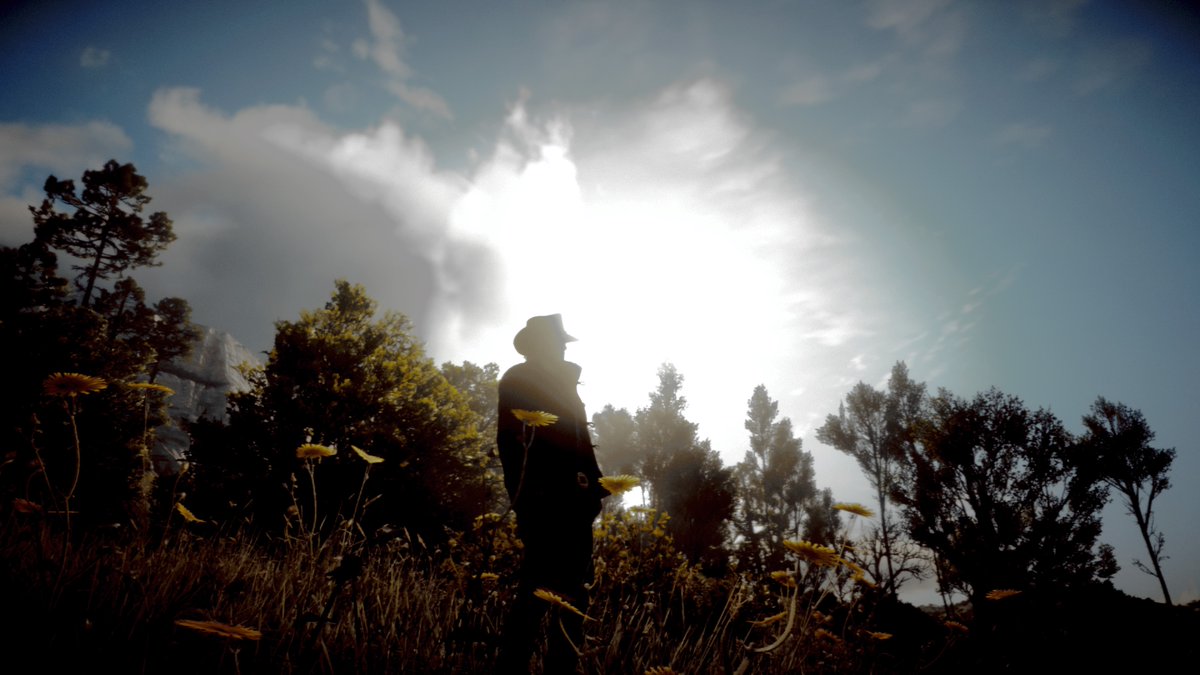 aced82's tweet photo. Way to late to this, better late than never #Reddeadredemtion2 #Gameotography #Gameotography#Rockstargames #PS4share https://t.co/khvsypDVew