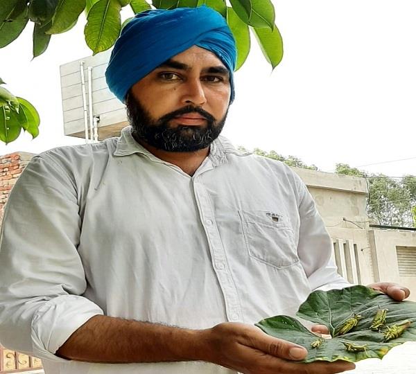 punjabkesari's tweet photo. चीमा मंडी में टिड्डी दल की आमद
https://t.co/G23lVp0oz2
#PunjabHindinews #barnalahindinews #tiddidal https://t.co/iejHO25WuX