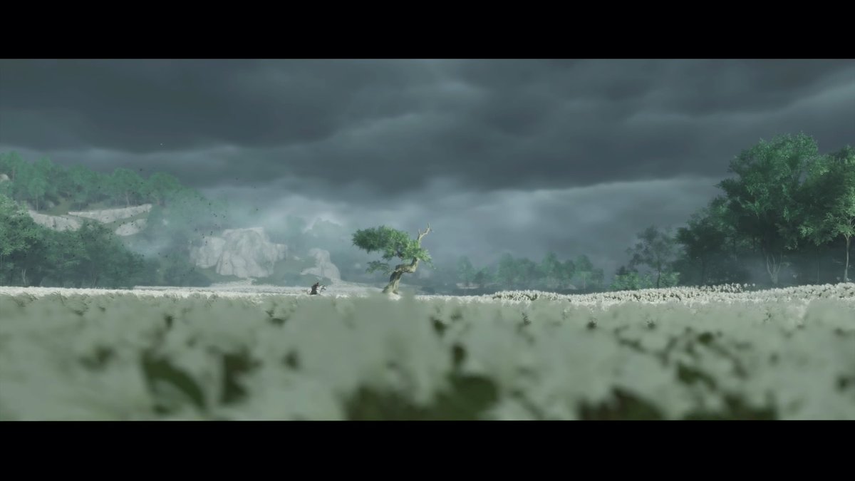 Alex_G1279's tweet photo. Ghost of Tsushima #GhostOfTsushima #PS4share https://t.co/EHMLxFTS1s