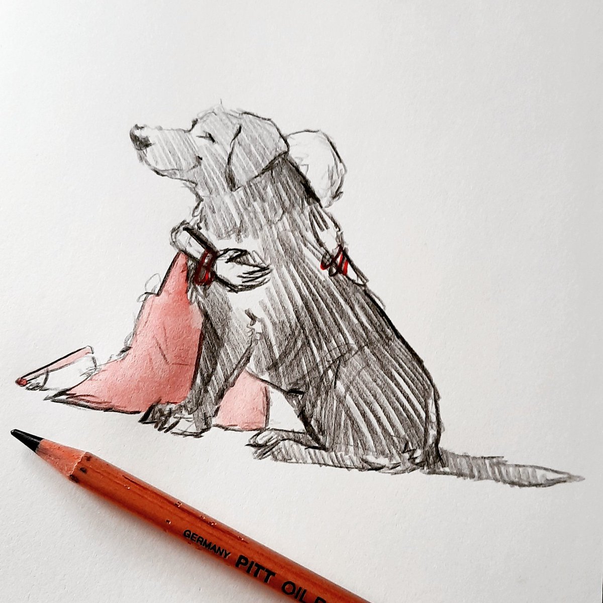 iaindwelch's tweet photo. Good afternoon, lovely people and lovely dogs. I just saw these two in the park and it completely made my day. 
#hoorayfordogs #cuddle #hug #labrador #sketchbook https://t.co/dwCpMMjiu6