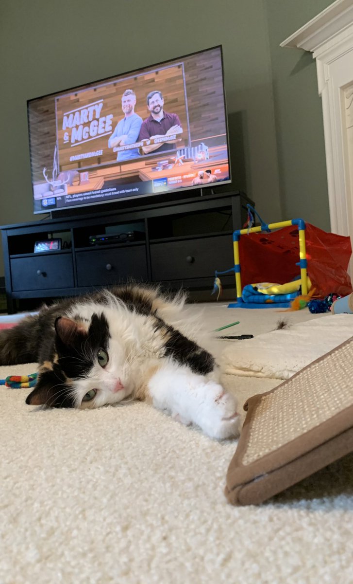 behhpp's tweet photo. @ESPNMcGee @MartySmithESPN my cat enjoys chillin with #MartyandMcGee https://t.co/372lCHByZf