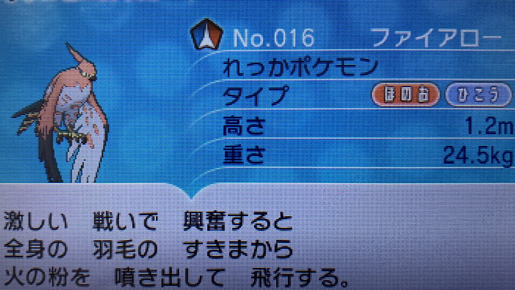 どくたーディロマト ポケモン6種コンプリートの道 Diromat Twitter