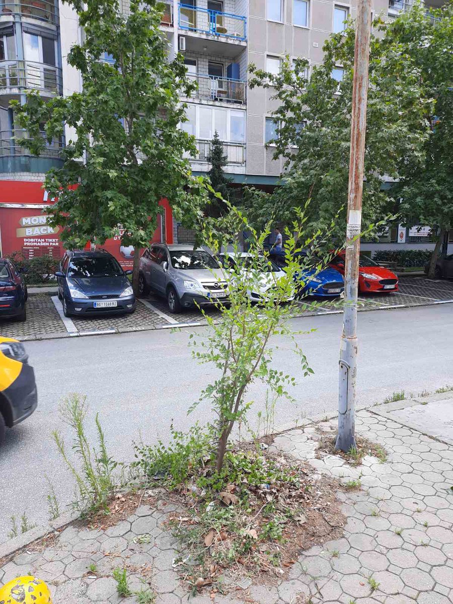 miris_benzina's tweet photo. @prijavi_problem slika 1) kladionica izašla iz gabarita zgrade, ako čak nije zidove rušila 2) korov i zarđala bandera, molim da saniraju rupu da ne raste opet kiselo drvo 3,4) zarđale bandere na raskrsnici Antifa. borbe i blokovske saobraćajnice, može sve pod broj 29 https://t.co/SiC47dl35Q