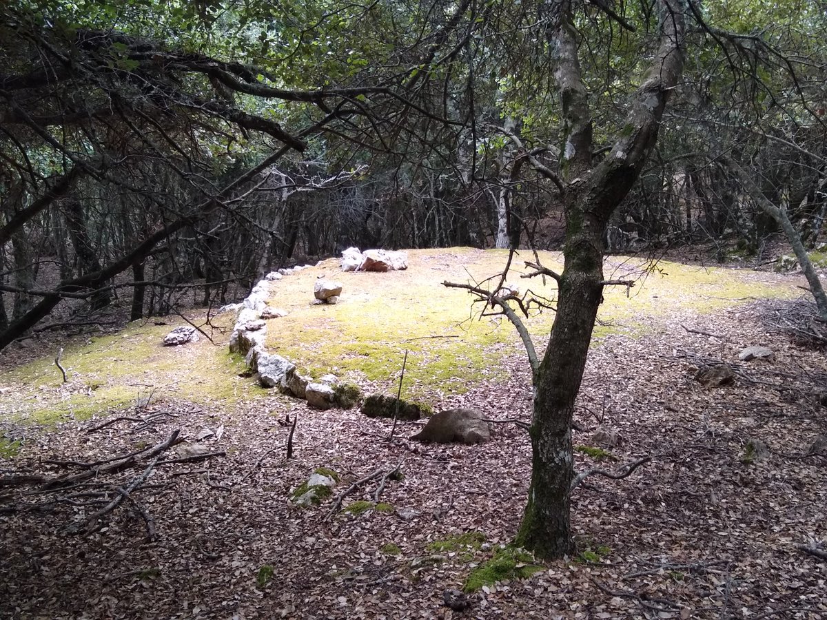GGarcias's tweet photo. Admirando el bosque mediterráneo, su luz y su silencio, lugares encantadores. #Sitja #Carbonera #Tramuntana. #BuenSábado https://t.co/58HX3nlSGR