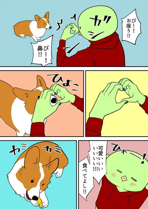 コーギーにチーズの骨あげるファイナル 