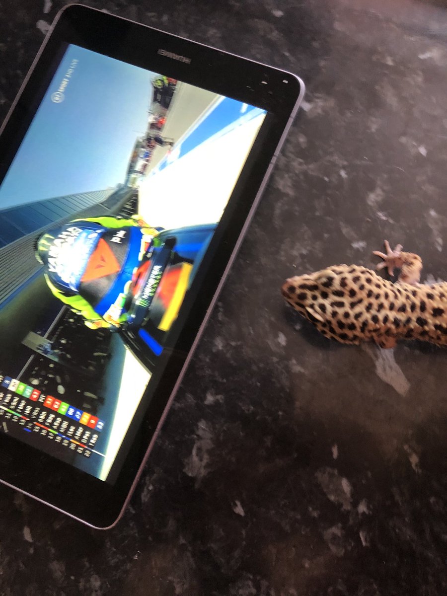 Fidgetjones8's tweet image. Valentina watching @ValeYellow46 #MotoGP #MotoGPGeckoGirlie