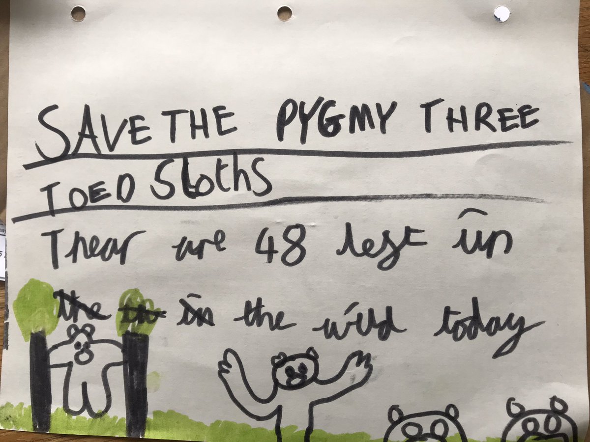 robrouse's tweet photo. My 8 year old daughter would like to raise the plight of the 3 toed Pygmy sloth to your attention. Please share this far and wide to help a young girl help an animal that at this rate she may never meet. X https://t.co/CDqxPxZGHC