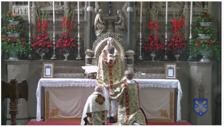 latinmassuk's tweet photo. Holy Mass LIVE @LiveMassFSSP from St Mary's Warrington 🙏🏼
Join our conference 👉🏼
https://t.co/ED2dB0jeeC
#lmslive https://t.co/fYBhpdlcc4