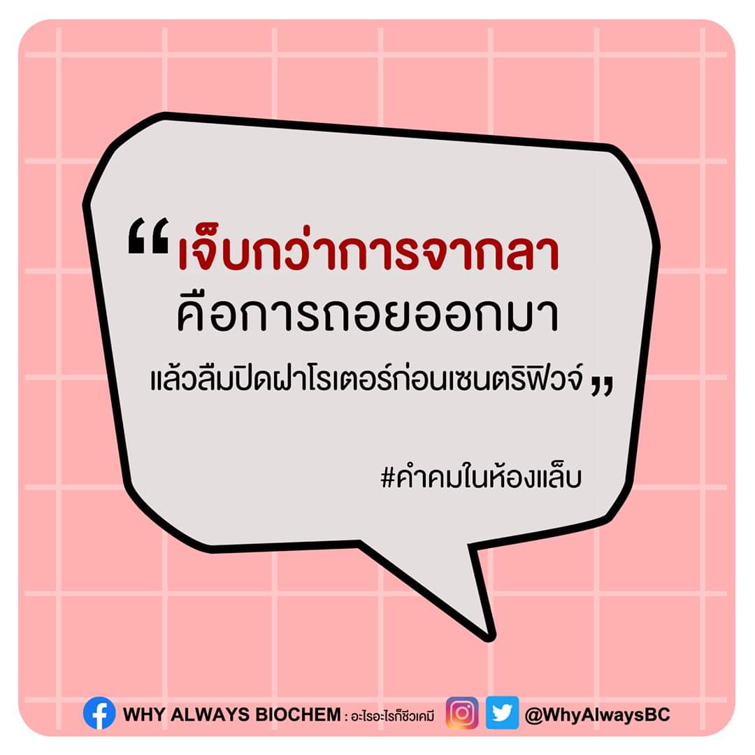 WhyAlwaysBC's tweet photo. "เจ็บกว่าการจากลา... คือการ��อยออกมา แล้วลืมปิดฝาโรเตอร์ก่อนเซนตริฟิวจ์"

#คำคมในห้องแล็บ #BiochemistryQuotes #BiochemistryJokes #WhyAlwaysBiochem #อะไรอะไรก็ชีวเคมี https://t.co/GhDymyCcOt