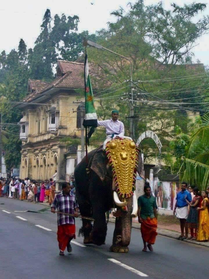 Do you know the History of the Struggle & Bravery of the Warriors who Saved  #Padmanabhaswamytemple The World’s richest Temple Was always the Target of Greedy Tyrant Non Hindu Rulers.This view is from the Very famous Araatu Annual Festival procession 1/3  @chitranayal09