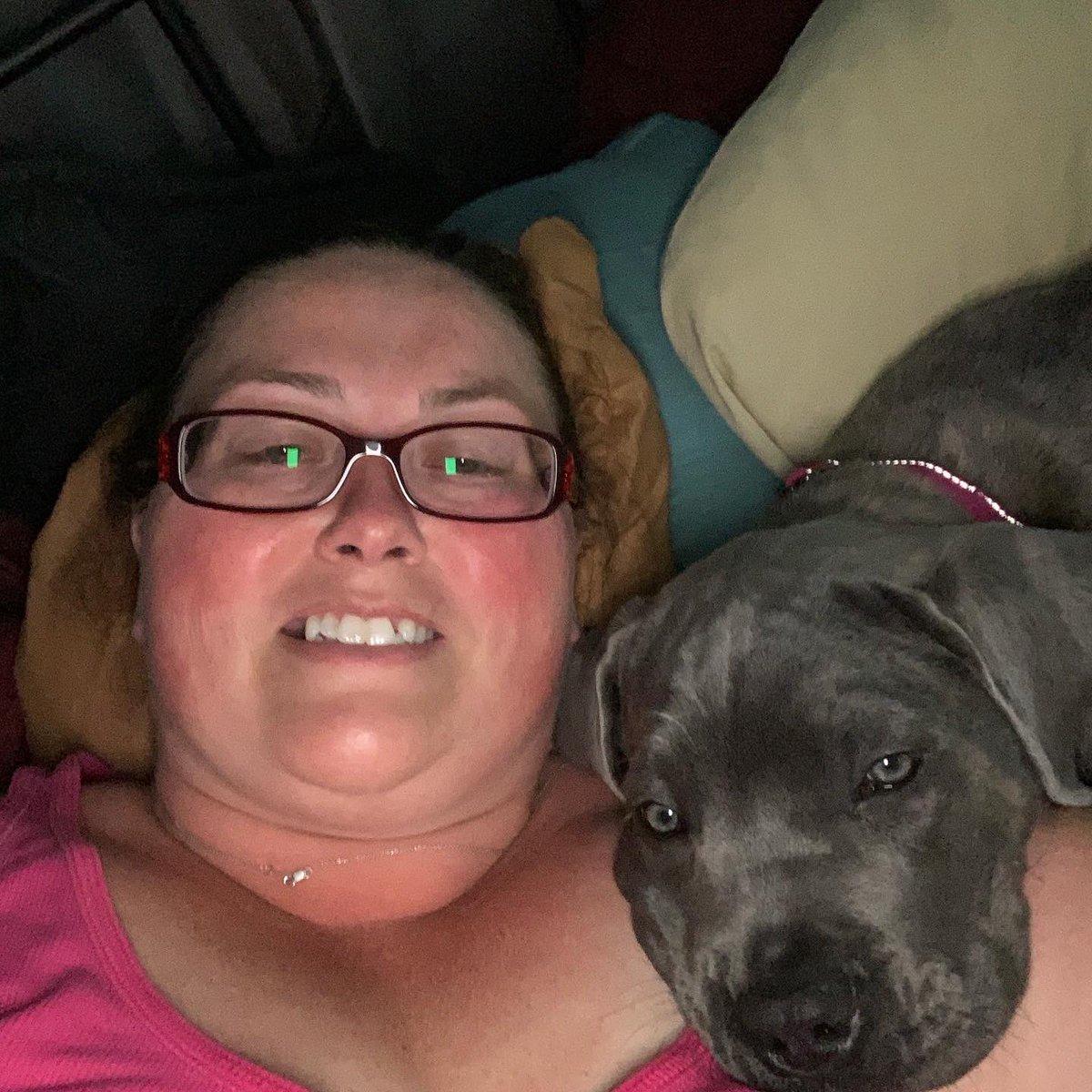 Her favorite place to be! Spending time with mom on our bed while dad showers this morning! Giz is hiding at the foot of the bed! Willow girl 15wks and 35#. #canecorsopuppy #thinksshesalapdog #canecorso