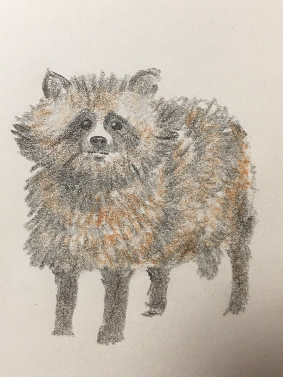 ノブユキ 動物シリーズ アナログイラスト 絵描きさんと繋がりたい イラスト好きさんと繋がりたい ツイッターで楽しむ展覧会 Rtで有名にしてください 動物