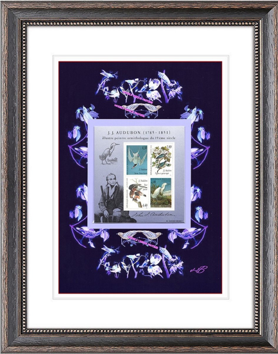 barbierjeanf's tweet photo. Hi,
New in my #boutiqueetsy :
Ornithologist Jean-Jacques Audubon, unique digital print with postage stamps
https://t.co/iuc8UlCfIj

#purple #multicolored #philately #noentryframe #drawing #birds #vertical #wedding #signedartwork #naturalistpainter #vintagestamps https://t.co/vnOOhd4uEy