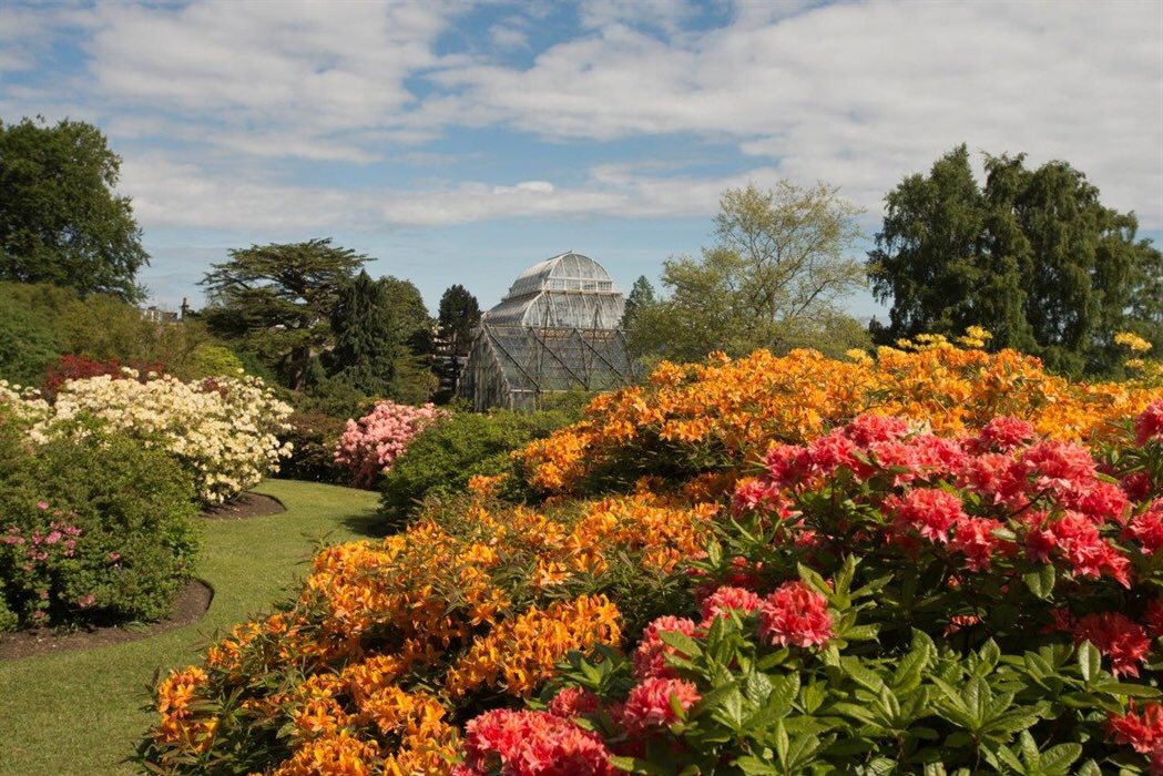 The Royal botanic gardens in Edinburgh