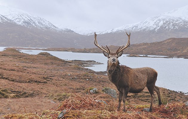 7. We have beautiful views and scenery (The last one reminds me of Disney’s Brave pretty sure that’s the castle that it’s based off. I wonder if they’ve watched it)