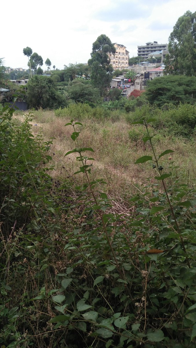 TheManoti's tweet photo. #realestateagent #RealEstate #realestateinvestor 
Welcome to ongata rongai, the place to be. This is a prime vacant quarter acre plot available for sale. It's ideal for apartments. It's approximately 250m off Magadi road. Asking 13M. Call 0721 594 567. https://t.co/zXXby2zVp7