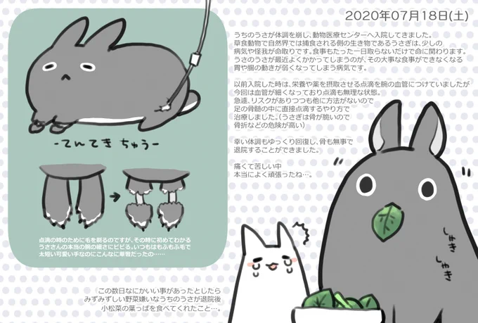 今日の絵日記です🐰
詳しい話は長くなるので端折ってますが、今日の日記は少しだけ痛々しい部分あるのでご注意下さい。現在のうさは元気にご飯食べてます☺ 
