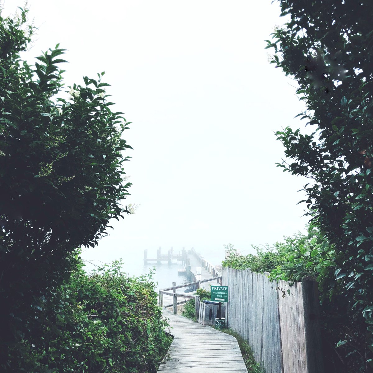 AMcClenning's tweet photo. You know how I feel about fog...

The MACSFIELDNOTES Creative Co.  Alyssa J. McClenning © https://t.co/XaGC8sshOh
