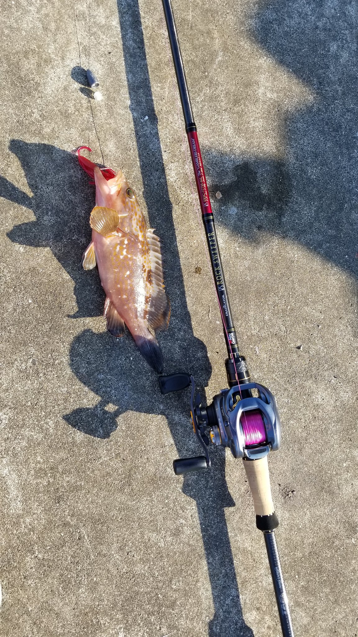 ギャンブラードリーム アブガルシア 777H-ML アブガルシア エラ