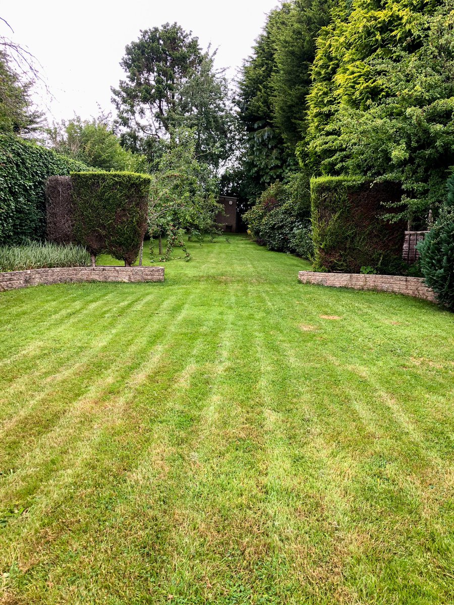 GavinGSCheema's tweet photo. Saturday morning sprints in the garden 🏃🏽‍♂️😰 https://t.co/VIBhIahHtj