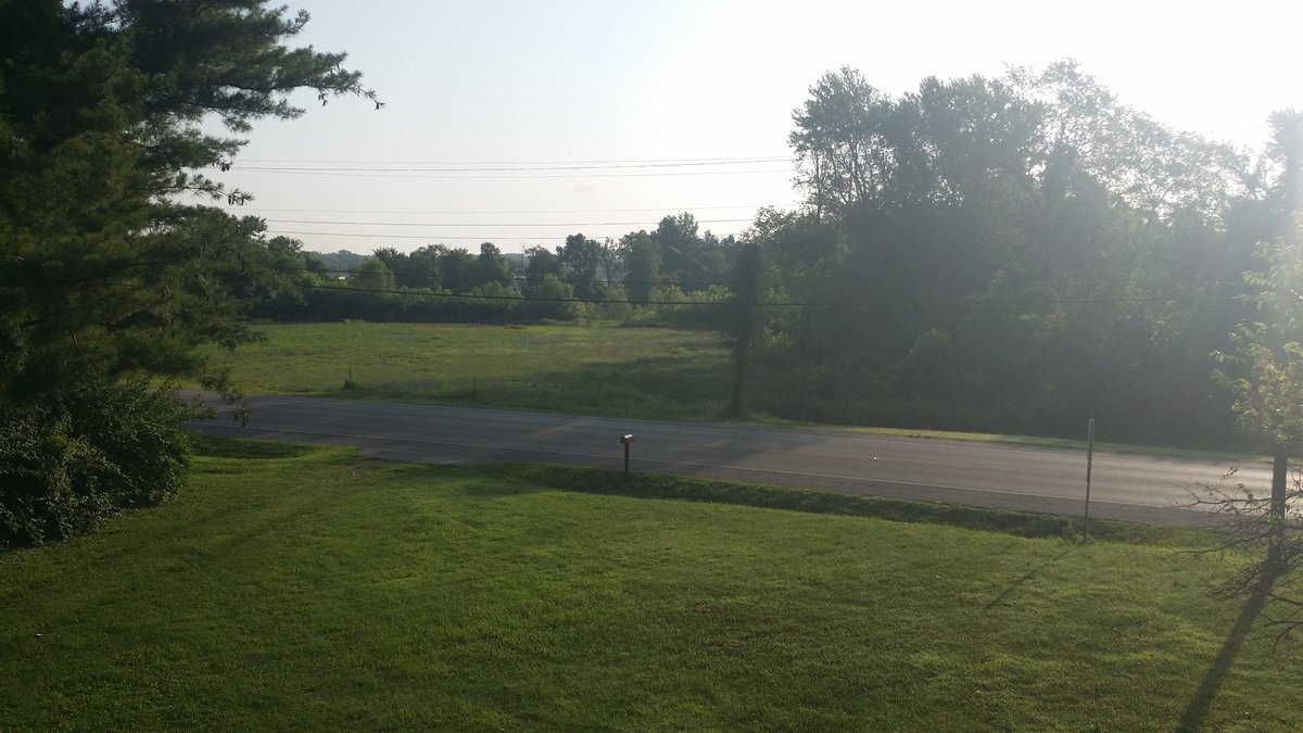 Today's view from the rooftop and today's section of roof.