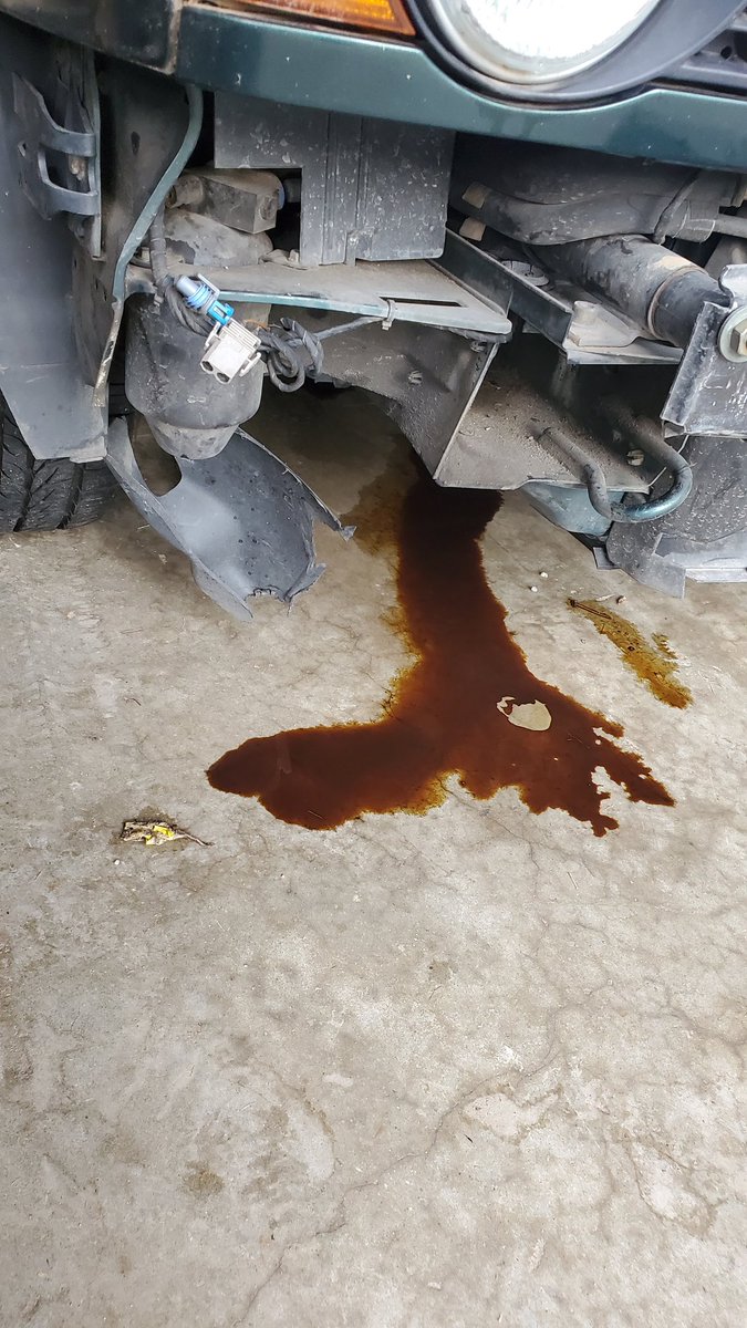 Also, the reason I suspect the engine is toast: it's been here for roughly 12 hours, I haven't turned it over. Come out to the garage this morning and it's got this for me
