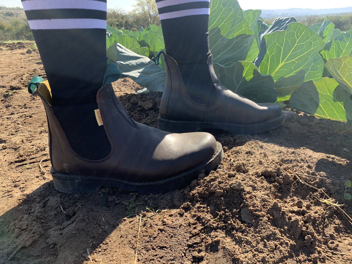 Life has no limitations, except the ones you make. 

#YoungAndHappy #Farming #FarmLife