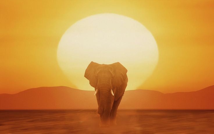 ramblingsloa tweet picture