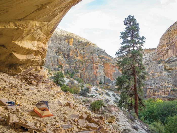 CAMMENGA's tweet photo. Work! Altitude! Traffic! Sometimes it seems like the universe is conspiring against your hiking plans. Here's how to subdue those hazards and 18 other trip killers to keep your weekends sacred.
https://t.co/vLF2yldxZn https://t.co/ezLvwM4L7F