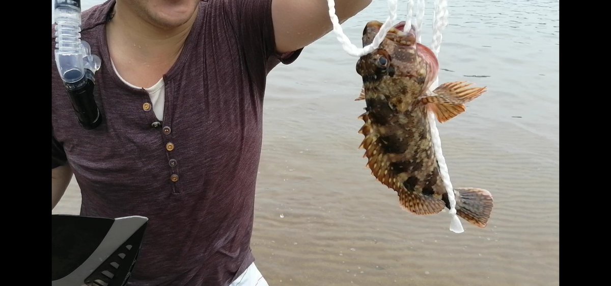 泳ぎ釣り 泳ぎ釣り