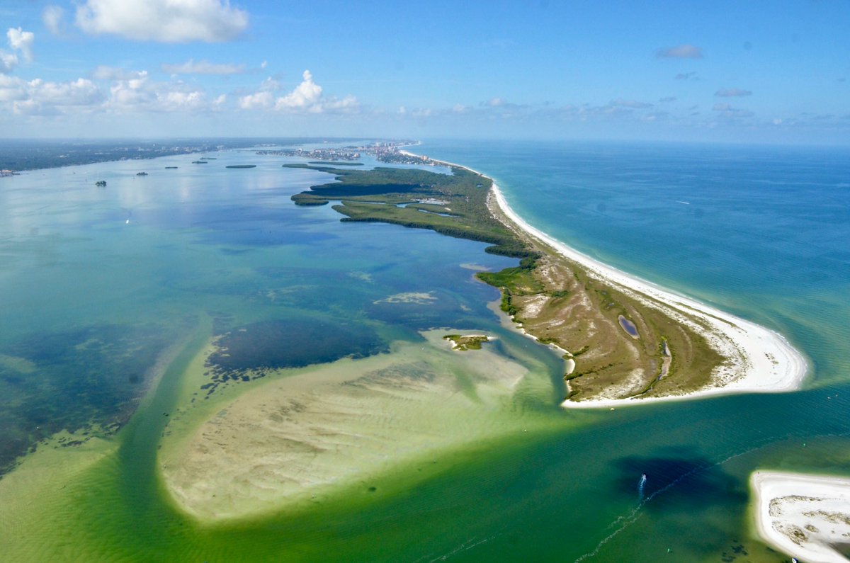 8_plamison's tweet photo. .@WFLA Beauty so close π @VSPC #beach #caladesi #SaturdayVibes #Motivation https://t.co/FZoYh8O1a4