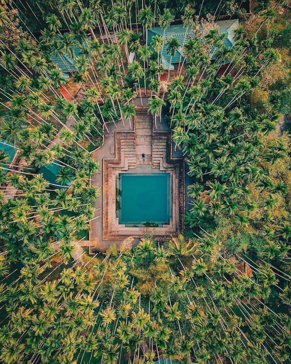 IndianContents's tweet photo. Varsha Temple pond at Peralassey (Subramania Swamy temple) located 14km from Kannur Dist Kerala 😍

Have you been here? https://t.co/s6HRKRJMwv