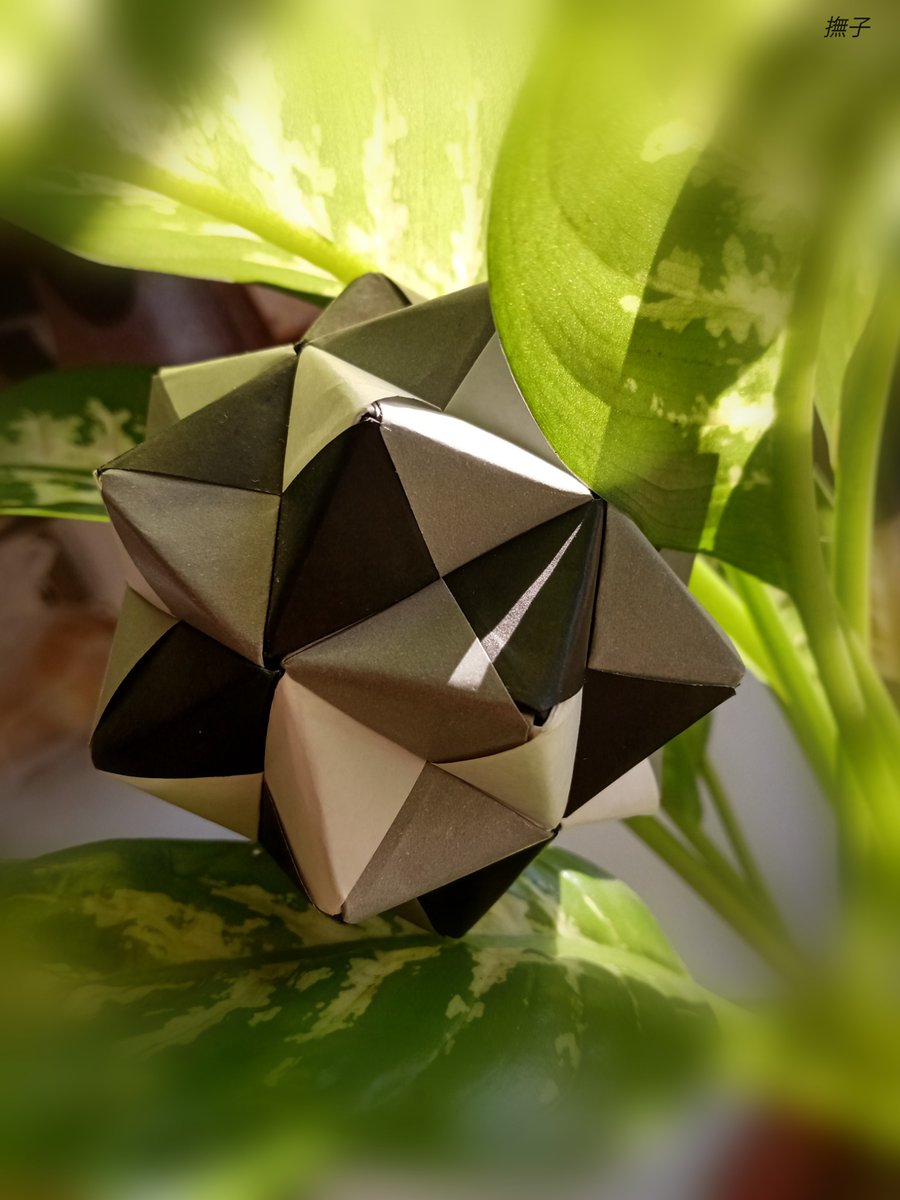 DayanaDelaO's tweet photo. #papiroflexia #manualidades #artPaper #折り紙 #оригами #бумагаискусство #arteCarta #artPapier #OrigamiArt #origamipaper #origamiLove #origamiWork #kusudama #kusudamaOrigami #OrigamiModular #origamiLove #OrigamiLovers #Origami https://t.co/8DZagHbaHl